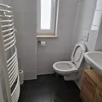 Geschaefts Und Magdeburg